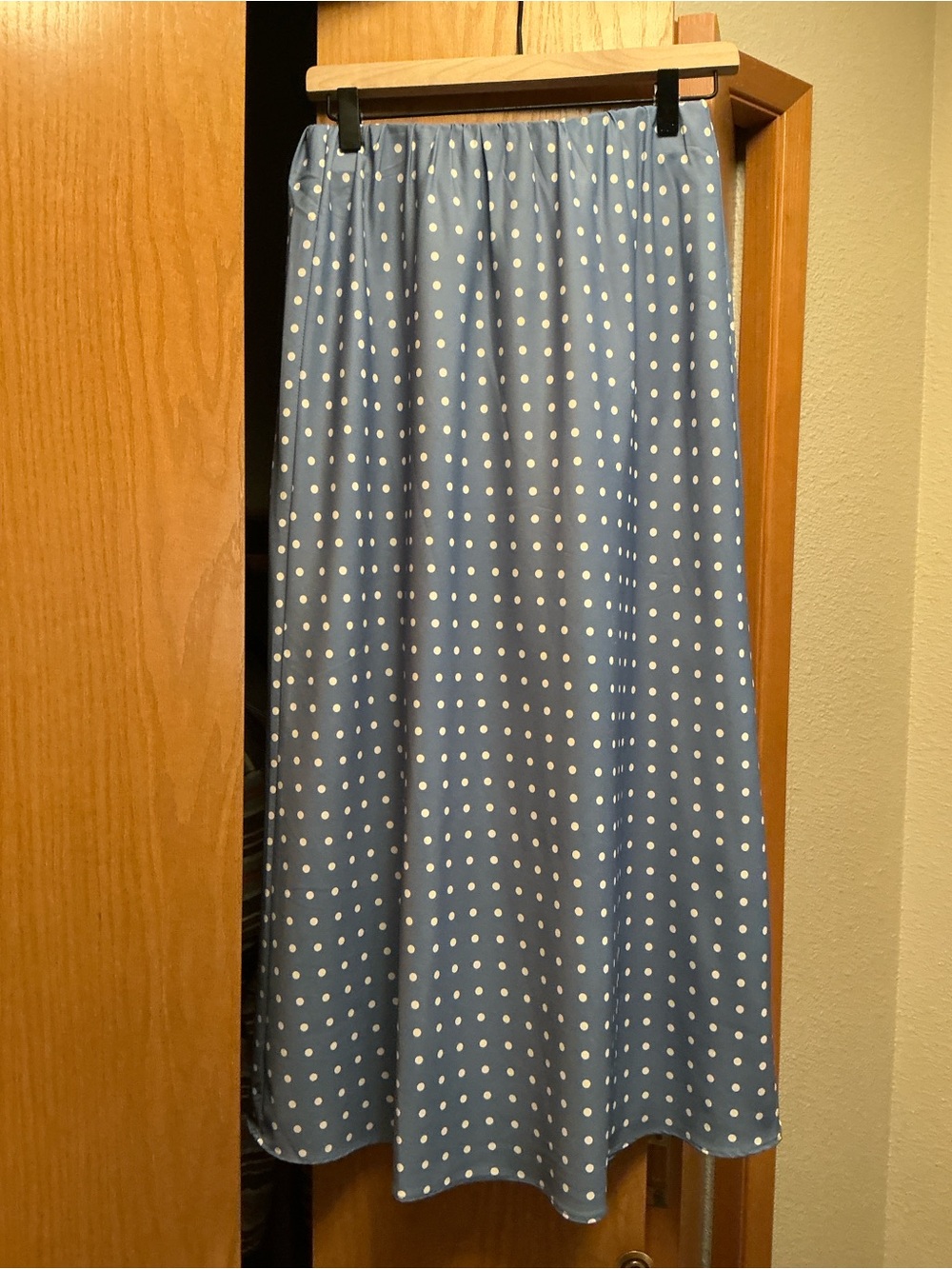 Wish Blue Polka Dot Maxi Skirt - Picture 2 of 3